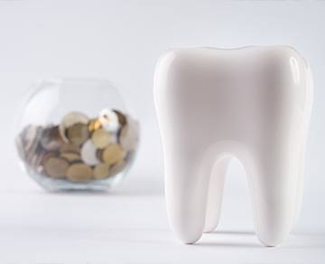 Model tooth and jar of coins